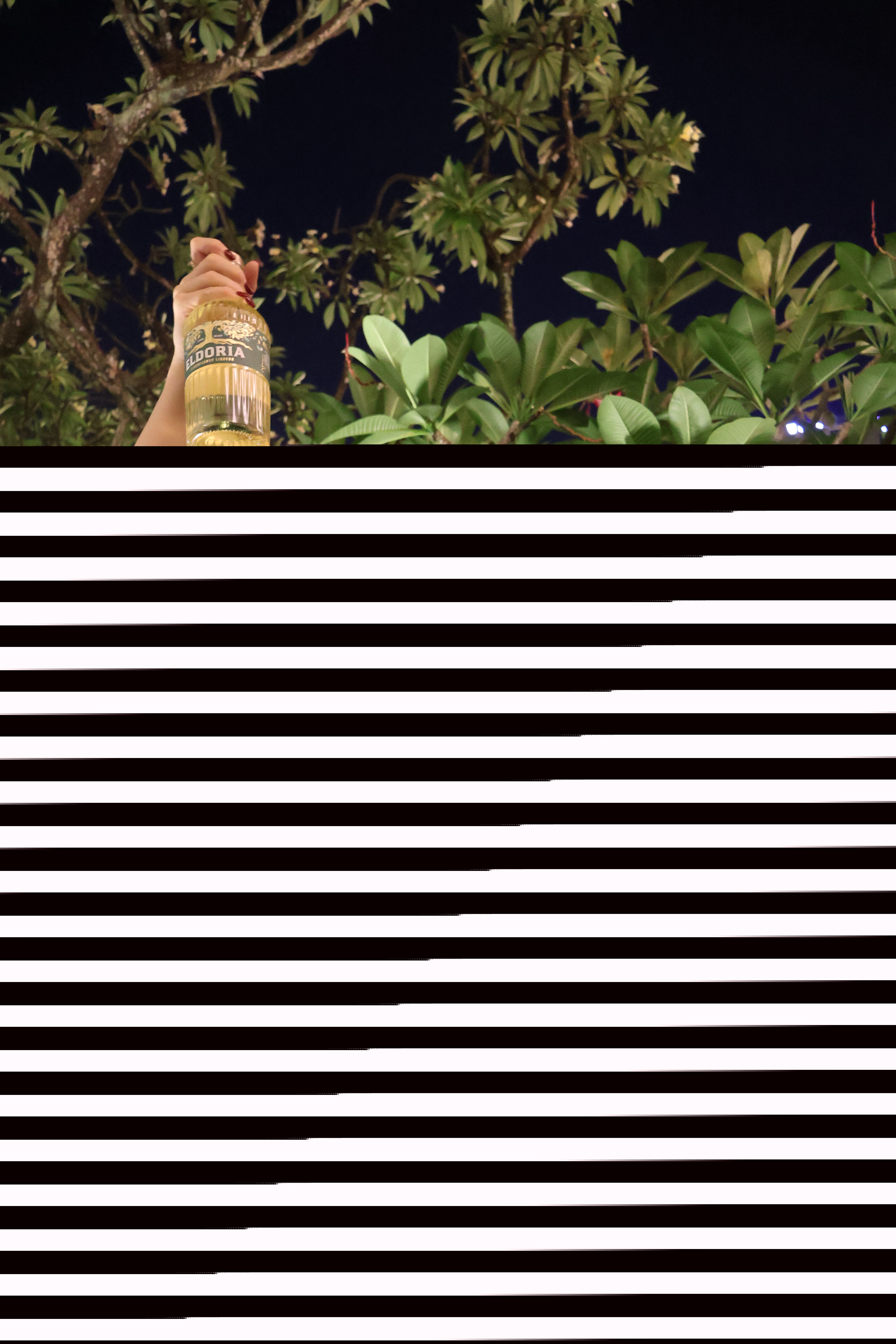 Event Packages at The Winery